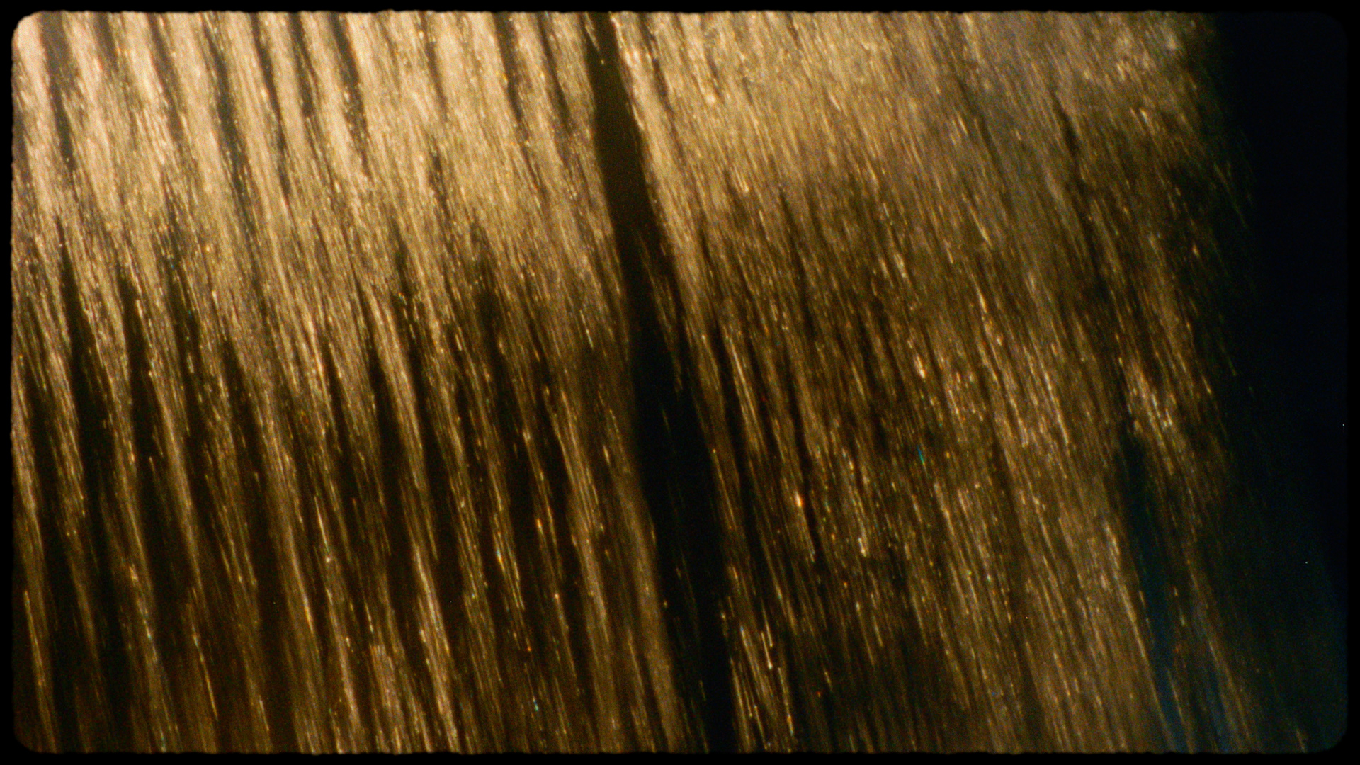 TSP_ONLINE.00_00_03_23.Still030